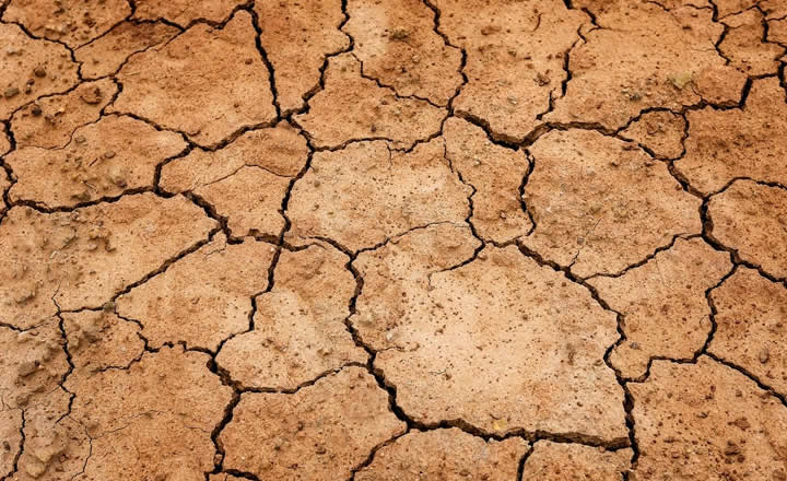 Desert drought