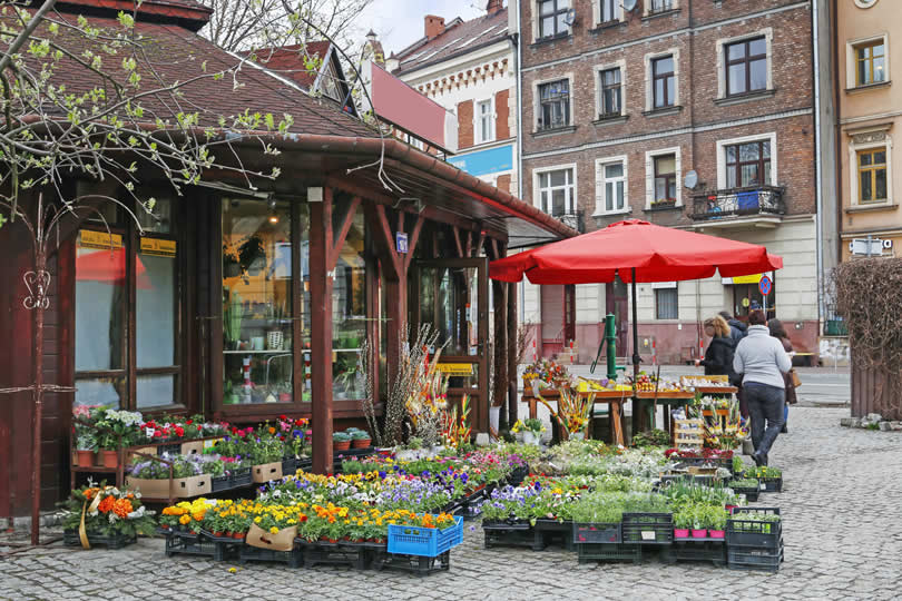 Flower shop in Krakow Debniki district
