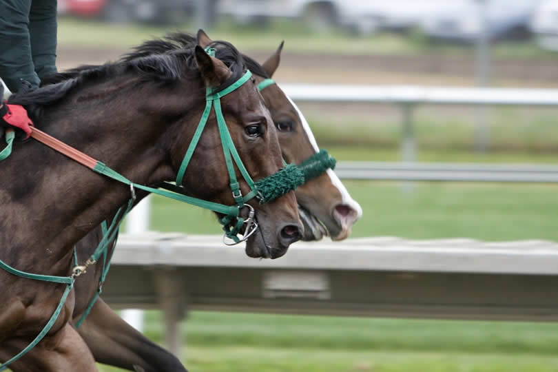 Horse race at Kentucky Derby Louisville