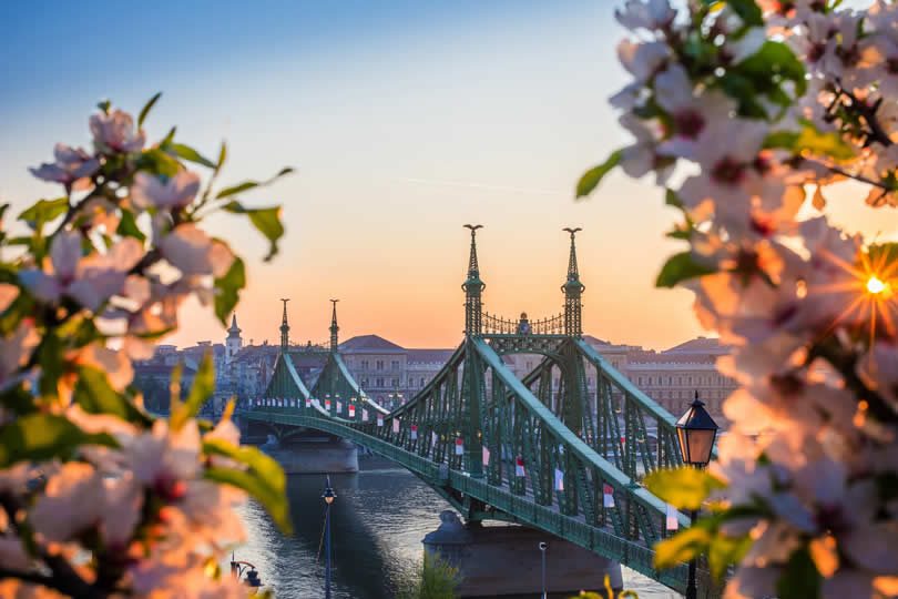 Liberty bridge in Ferencvaros district of Budapest